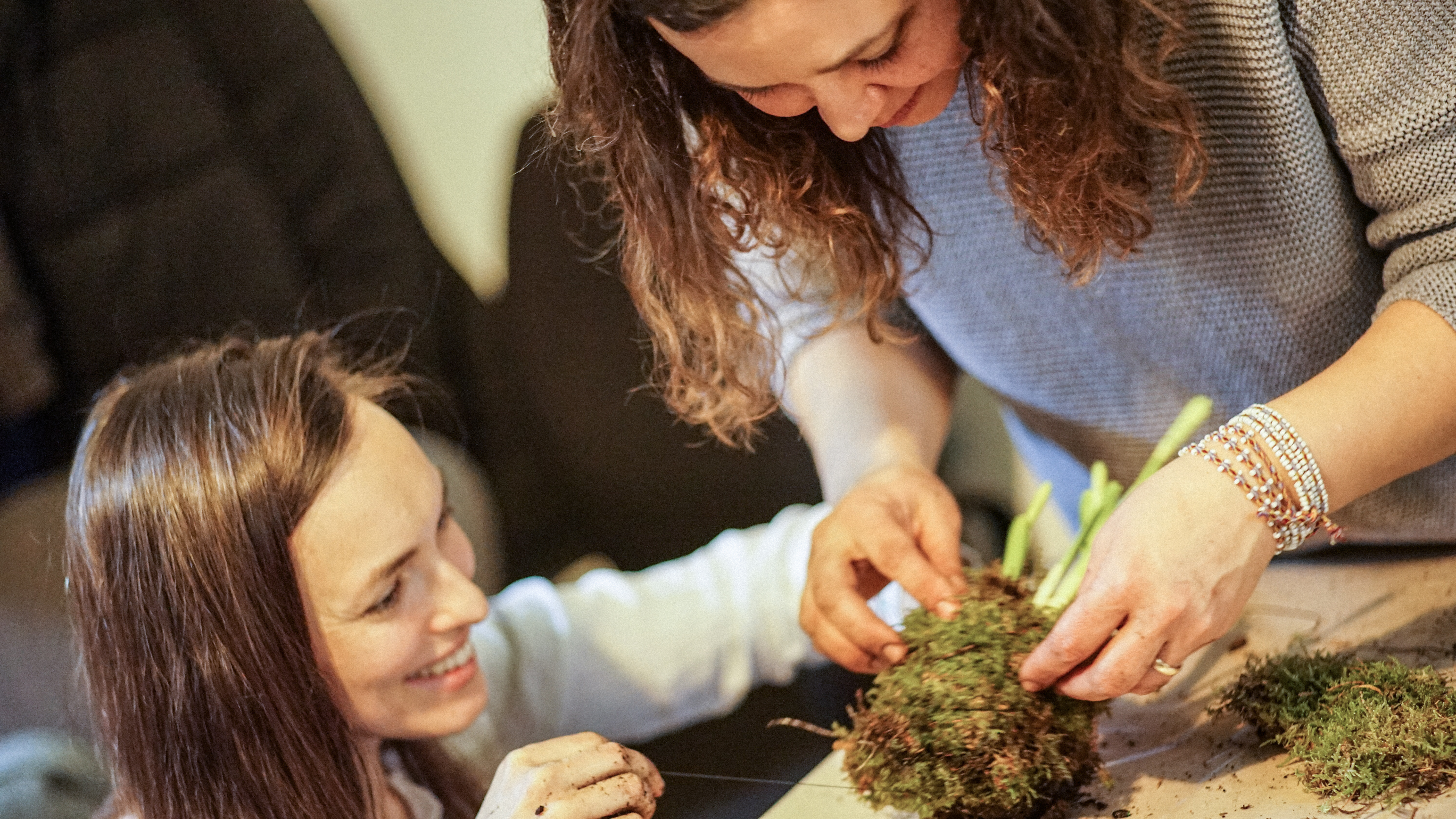 Reparație & Reconectare Interioară