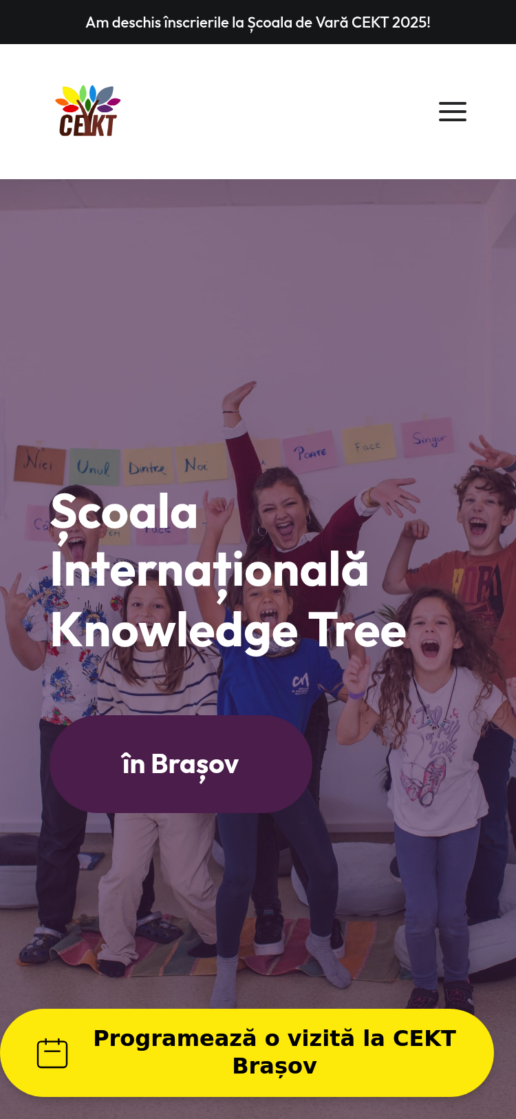 CEKT Website mobile view